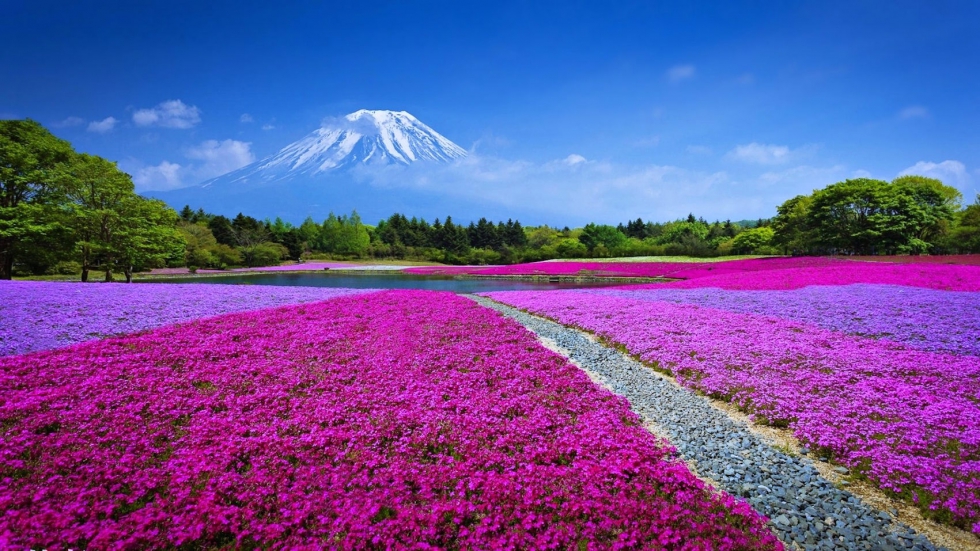 mt-fuji-japan-landscape-wallpaper